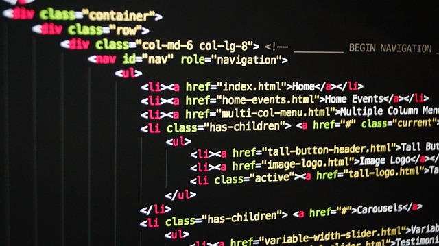 software development