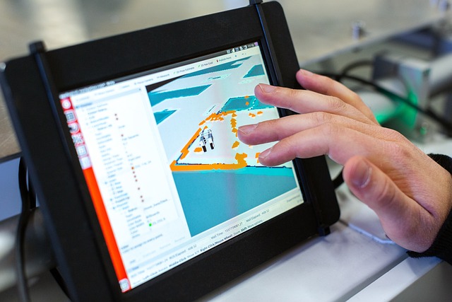 software development