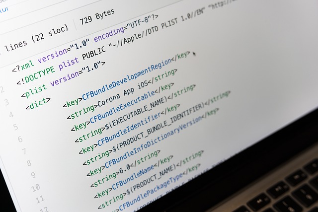 app development